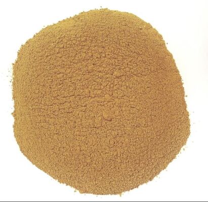 pumpkin powder supplier exporter wholesale bulk processing quality