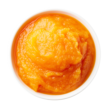 buy carrot puree supplier exporter wholesale bulk processing quality
