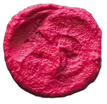 Beetroot puree supplier exporter wholesale bulk processing quality