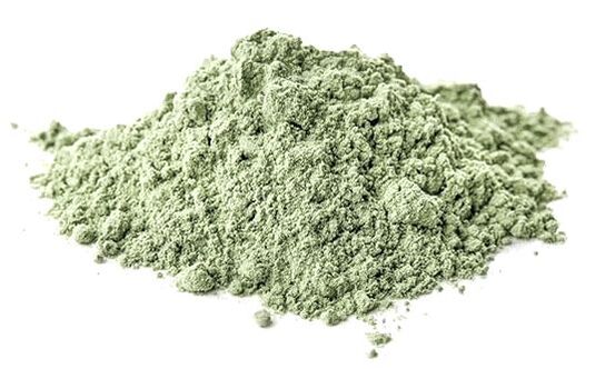 kiwi powder extract supplier exporter wholesale bulk processing quality